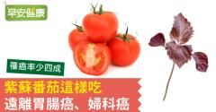紫蘇番茄這樣吃，遠離胃腸癌、婦科癌