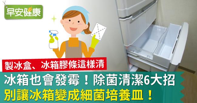 冰箱也會發霉！除菌清潔6大招，別讓冰箱變成細菌培養皿！