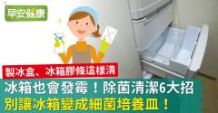 冰箱也會發霉！除菌清潔6大招，別讓冰箱變成細菌培養皿！