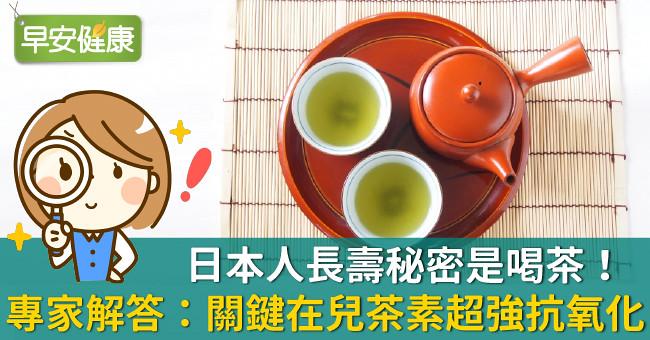 日本人長壽秘密是喝茶！專家解答：關鍵在兒茶素超強抗氧化