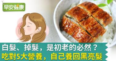 白髮、掉髮，是初老的必然？吃對5大營養，自己養回黑亮髮！