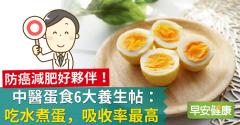 防癌減肥好夥伴！中醫蛋食6大養生帖：吃水煮蛋，吸收率最高