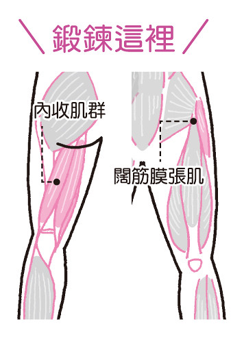 瘦大腿內側：鍛鍊內收肌群、闊筋膜張肌