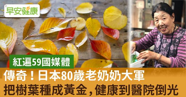 傳奇！日本80歲老奶奶大軍把樹葉種成黃金，健康到醫院倒光