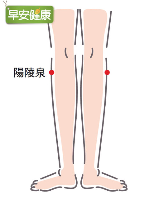 足底筋膜炎按摩小腿外側陽陵泉穴道