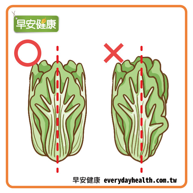 大白菜挑選重點：葉片左右對稱