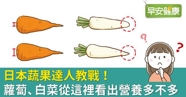 日本蔬果達人教戰！蘿蔔、白菜從這裡看出營養多不多