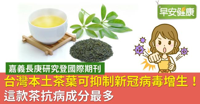 台灣本土茶葉可抑制新冠病毒增生！這款茶抗病成分最多