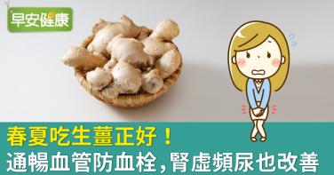春夏吃生薑正好！通暢血管防血栓，腎虛頻尿也改善