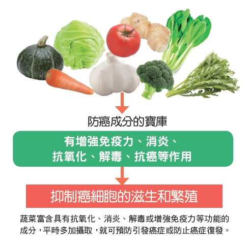 蔬菜富含具有抗氧化、消炎、解毒或增強免疫力等功能的成分，平時多家攝取，就可預防引發癌症或防止癌症復發。