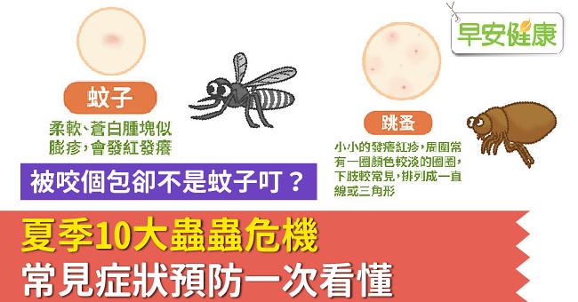 被咬個包卻不是蚊子叮？夏季10大蟲蟲危機，常見症狀預防一次看懂