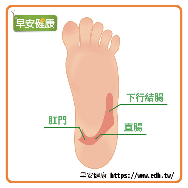 左腳腳底防痔瘡區域