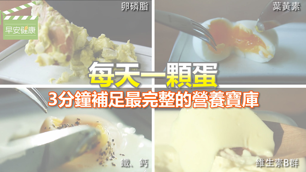 每天一顆蛋蛋，3分鐘補足最完整的營養寶庫