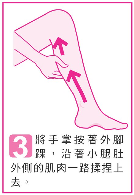 將手掌按著外腳踝，沿著小腿肚外側的肌肉一路揉捏上去。