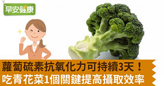蘿蔔硫素抗氧化力可持續3天！吃青花菜1個關鍵提高攝取效率
