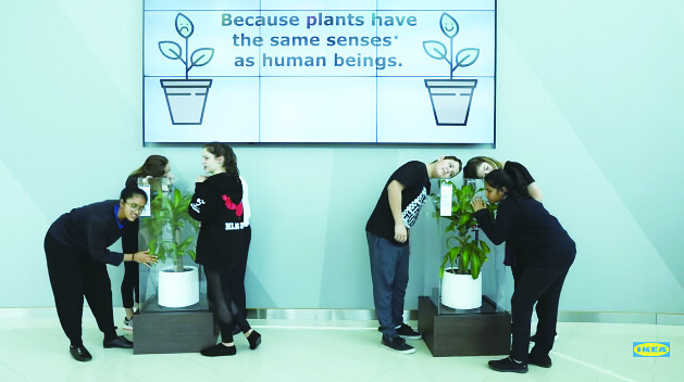 學生們對左邊的植物霸凌，用不好的語言灌溉。右邊則是關愛組，用愛的語言對它說話