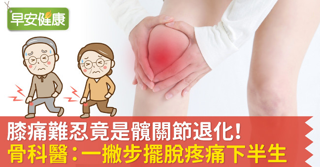 膝痛難忍竟是髖關節退化！骨科醫：一撇步擺脫疼痛下半生
