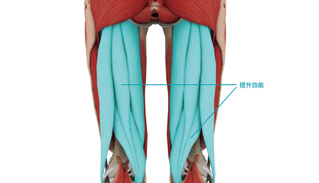敲打大腿後側和內側，可以有效紓緩膝蓋痛