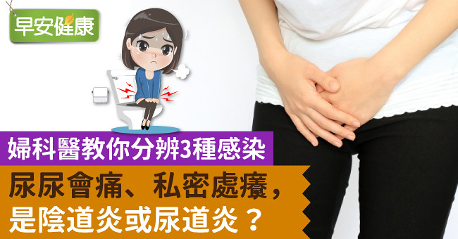 尿尿會痛、私密處癢，是陰道炎或尿道炎？婦科醫教你分辨3種感染