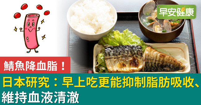 鯖魚降血脂！日本研究：早上吃更能抑制脂肪吸收、維持血液清澈