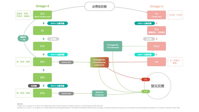 魚油-必需脂肪酸-EPA-DHA-ALA