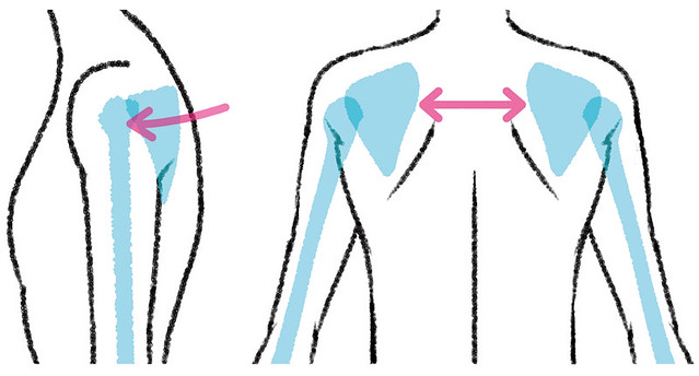 二頭肌發達會把肩膀往前搭，導致圓肩、肩膀變寬