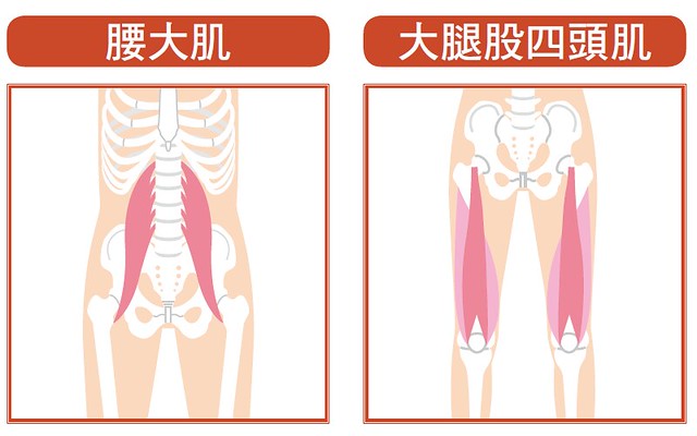 弓箭步肌肉體操：鍛鍊這裡！腰大肌、大腿股四頭肌
