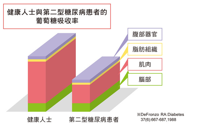 健康人士與第二型糖尿病患者的葡萄糖吸收率