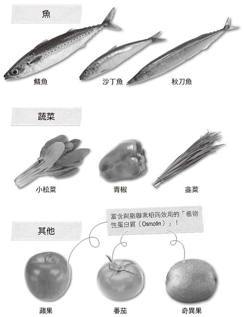 增加脂聯素的食物：鯖魚、沙丁魚、秋刀魚、小松菜、青椒、韭菜、蘋果、番茄、奇異果
