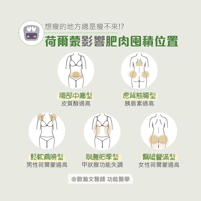 荷爾蒙影響脂肪堆積的位置。