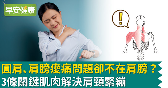 圓肩、肩膀痠痛問題卻不在肩膀？3條關鍵肌肉解決肩頸緊繃