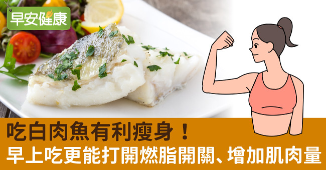 吃白肉魚有利瘦身！早上吃更能打開燃脂開關、增加肌肉量