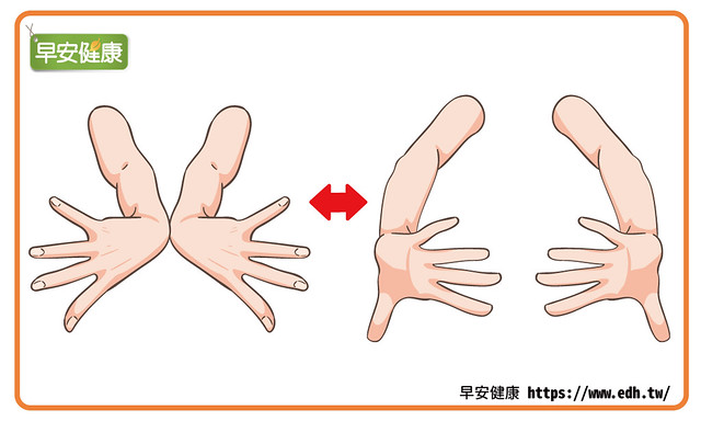 手腕運動2：掌蓮花