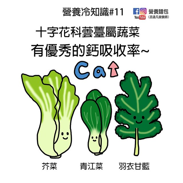 十字花科蕓薹屬蔬菜有優秀的鈣吸收率