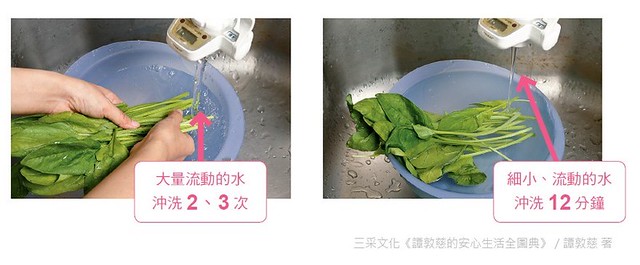 葉菜清洗法