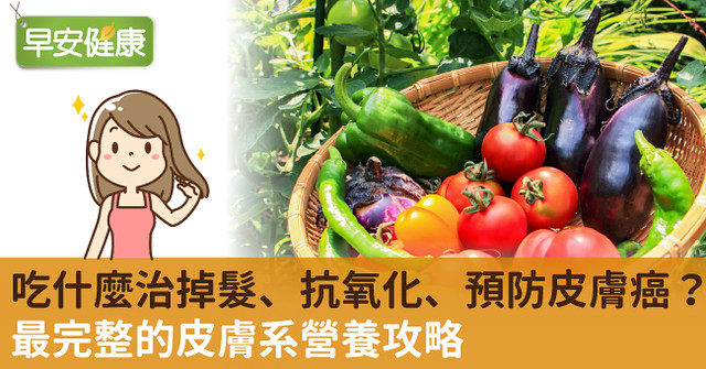 吃什麼治掉髮、抗氧化、預防皮膚癌？最完整的皮膚系營養攻略