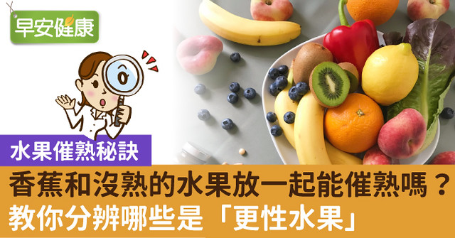 香蕉和沒熟的水果放一起能催熟嗎？教你分辨哪些是「更性水果」