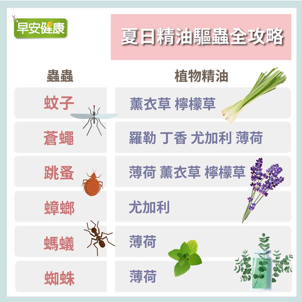 夏日精油驅蟲全攻略