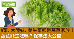 A菜、大陸妹、美生菜都是萵苣家族！萵苣能生吃嗎？保存法大公開