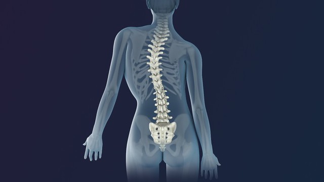 內臟也會造成脊椎歪斜甚至是脊椎側彎