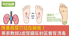改善夜尿穴位在腳底！專家教按2處腎臟反射區養腎清毒