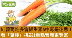 紅蘿蔔吃多會維生素A中毒是迷思！看「葉梗」挑選1重點營養更豐富