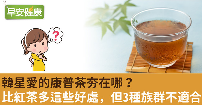 韓星愛的康普茶夯在哪？比紅茶多這些好處，但3種族群不適合