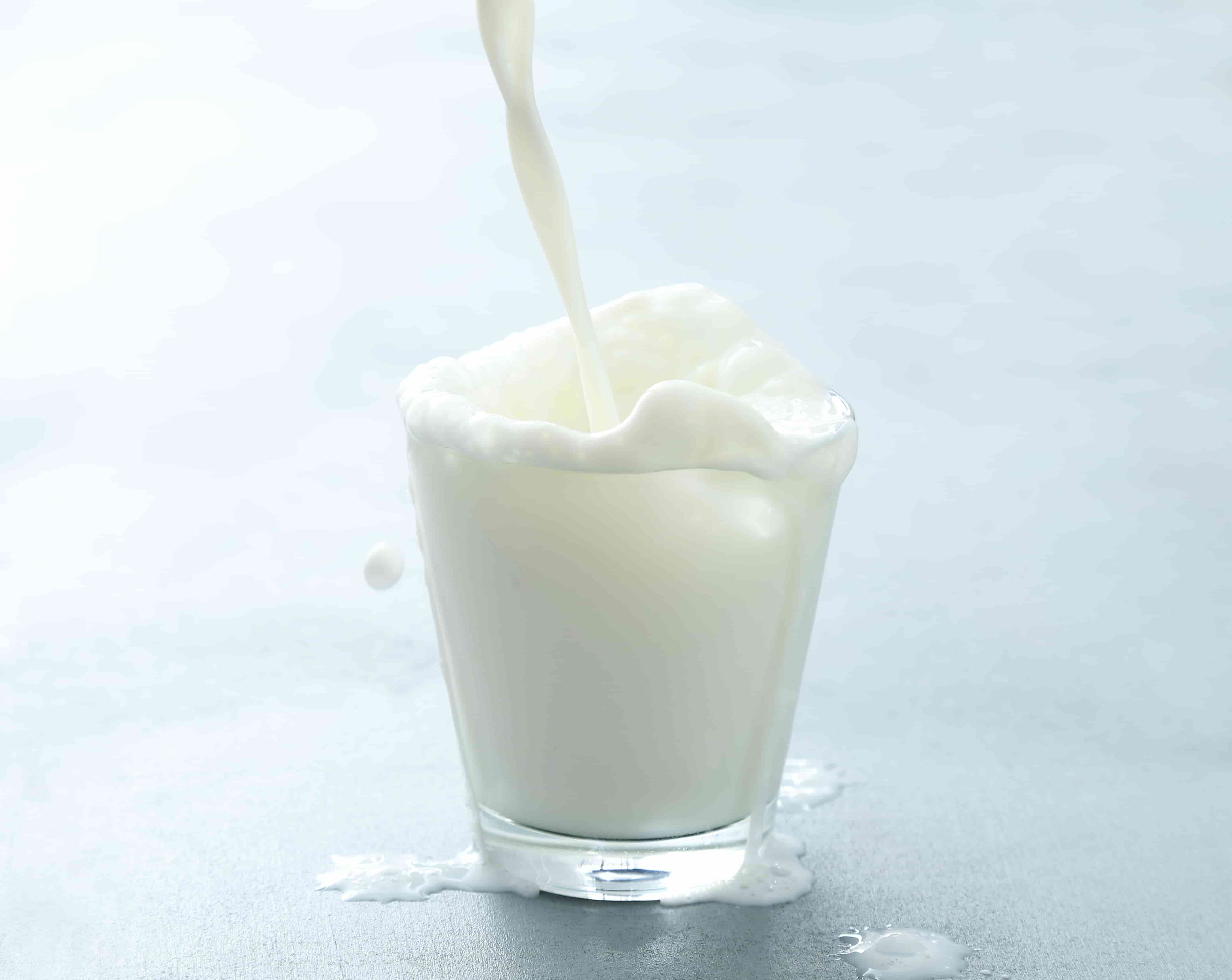 牛奶是鈣質的攝取主要來源