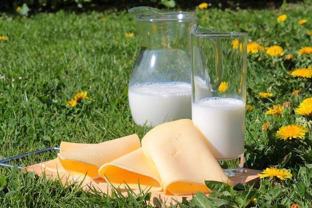 優酪乳促進鈣質吸收