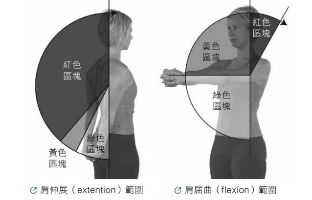 肩伸展（extention）範圍、肩屈曲（flexion）範圍 