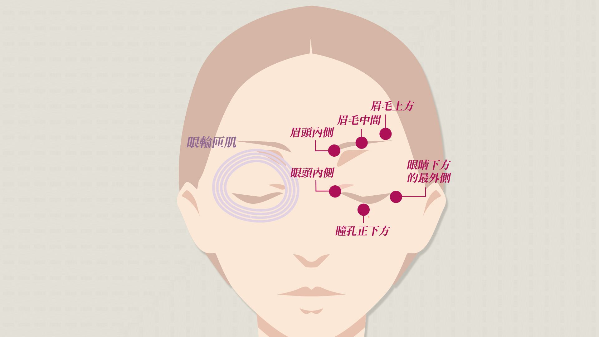 呂大文醫師指出，改善老花眼不適症狀，可適度按摩眼框周圍6個穴位。