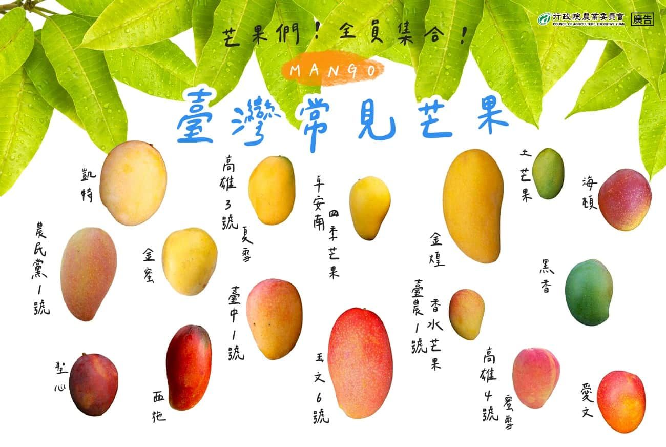 台灣常見芒果品種分析、農委會