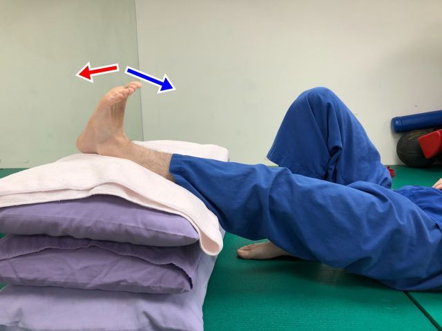 腳踝幫浦運動：腳踝下踩（紅箭頭）及上翹（藍箭頭）