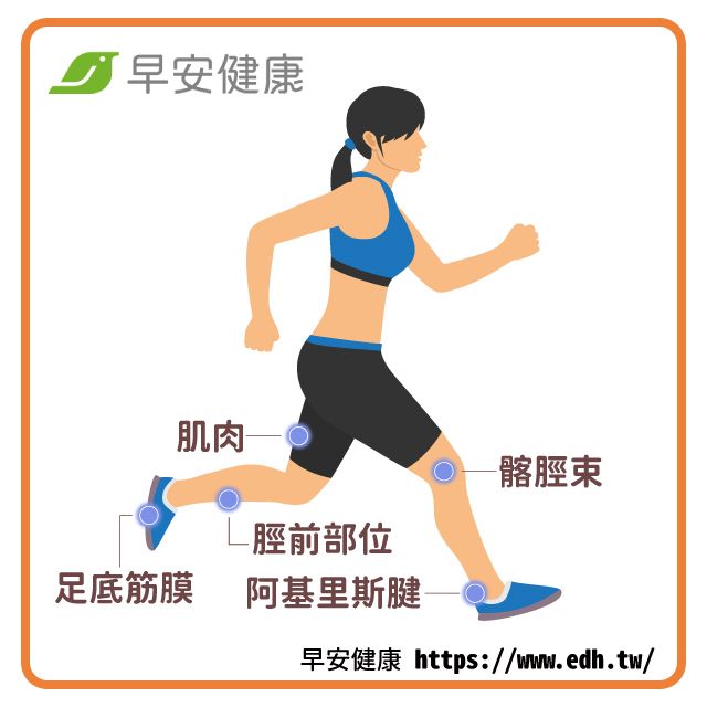跑步經驗中常遇上的運動困擾：  1、肌肉也會喊累的：跑步後大家都有「鐵腿」的經驗，通常發生在新手跑步者、長時間的運動或進行強度較高的運動後。鐵腿在運動後 24 ~ 72 小時最容易覺得累。大約一週後不舒服感即會消失。  2、脛前部位沒放鬆：有些跑者在跑步時會有小腿前側緊繃的困擾，通常與脛前肌脫離不了關係。脛前肌是位在小腿脛骨外側的長條狀肌肉，主要功能是負責讓你在跑步時，當腳尖到腳跟觸地時，脛前肌可以緩衝並控制腳底板接觸地面的速度，也可以協助我們踝關節的穩定以避免腳踝問題。因此，當運動過量、沒暖身或沒有適合的鞋子保護下，脛前肌肉就容易緊繃不舒服。  3、髂脛束磨擦與緊繃：很多跑者會有膝蓋外側不舒服的困擾，通常與髂脛束的摩擦與緊繃有關係。髂脛束是位於大腿外側到小腿上方的一層筋膜，專門負責膝蓋的穩定與活動。特別是當運動量過大、臀部肌力不足或穿著磨損的跑鞋就容易發生髂脛束的摩擦與緊繃。  4、當阿基里斯腱在抗議：我們全身最大的肌腱就是阿基里斯腱，也是人體最強壯的肌腱，它負責連接小腿肌肉和腳跟，根據Applied Sciences期刊刊載中指出「根據行走時跟腱所承受的負荷可達體重的3.9倍，跑步時則可達體重的7.7倍」，可見跑步時阿基里斯腱其實也承受不少的壓力與負荷。  5、足底筋膜部位緩衝必要性：當我們跑步時，足底筋膜負責吸收跑步施加在腳上的壓力和張力，若是穿著支撐性差的鞋子或暖身不夠、長時間跑步，足底筋膜在沒有緩衝情況下都容易產生不適喔！